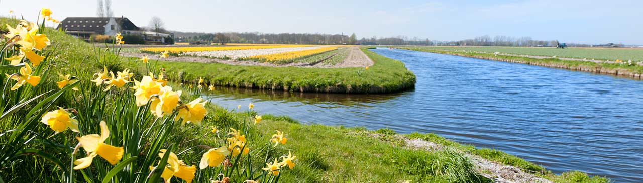 Environmental-banner