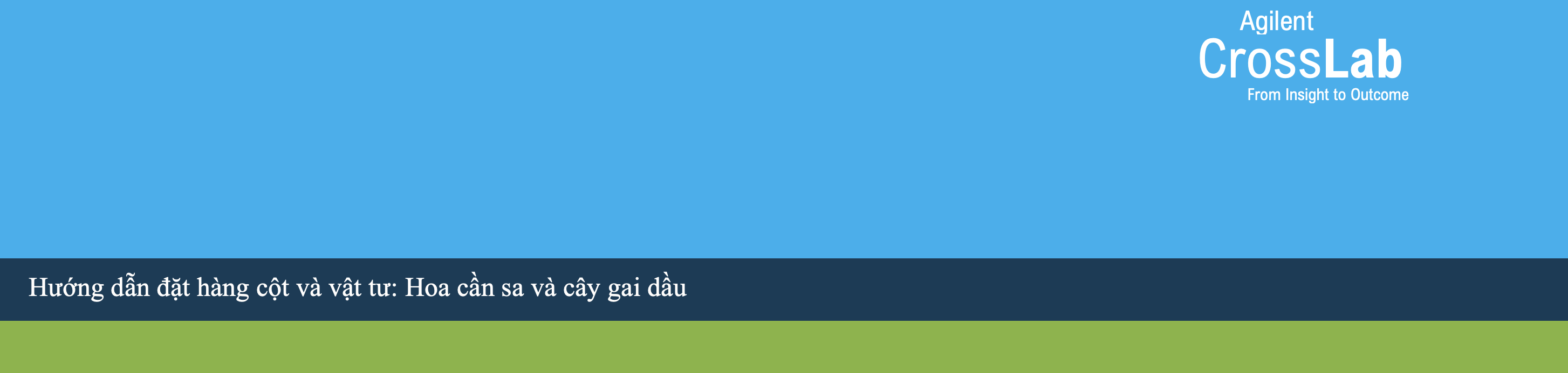 hoa can sa